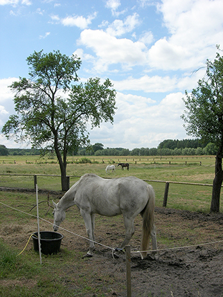 Bildbetrachter
